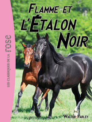 cover image of L'Étalon Noir 17--Flamme et l'Étalon Noir
